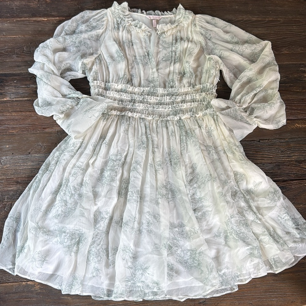 Rebecca Taylor smocked waist silk toile midi dress long sleeved EUC size 8 - Picture 4 of 16